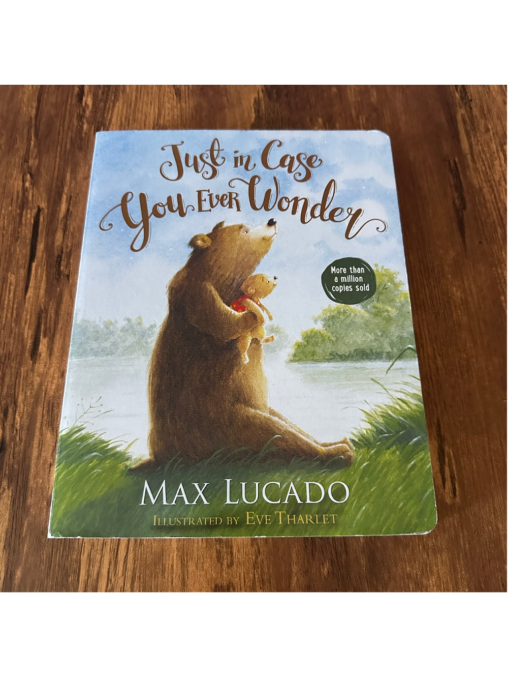 Just in Case You Ever Wonder Hardcover Max Lucado Tommy Nelson Book